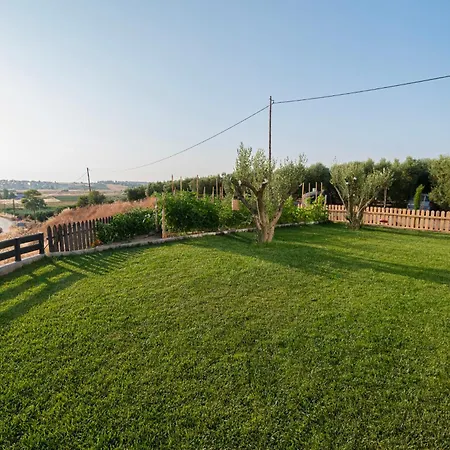 Amelia By Travel Pro - Mouries Halkidiki Paralia Dionysiou